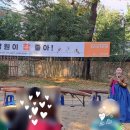 남원국악예술고등학교 | 벌써 오늘이 마지막 공연인 &#34;남원이 참 좋아! 얼씨구 좋다. 국악공연&#34;