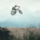 시그니처에디션 이미지