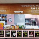 야옹아 멍멍해봐 이미지