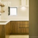 스테이비안 이미지