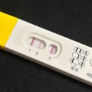 콩딱콩딱 나의 첫 임밍아웃👶