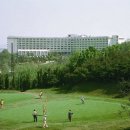 골든프라자7 이미지