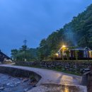 곰배령 쥐와 돼지 이미지