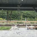 이어도대게회타운