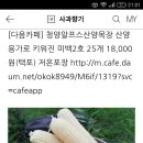 청양알프스산양목장 이미지