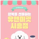 강남-278 | 강남먼치킨분양 후기 – 반려묘 입양은 정말 인연이었어요