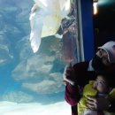 (주)덕양현대 | 경기북부 아이랑 겨울방학때 갈만한 실내 장소 총정리