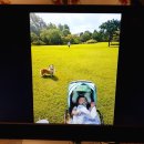 내일도 럭키 이미지