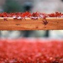 아름다운사람들 이미지