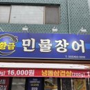 싱싱장어 이미지