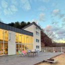 스테이위드독 이미지