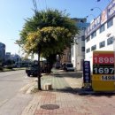 신화곡주유소 이미지