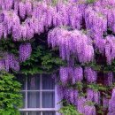 광제당한의원 이미지