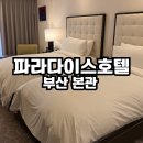 부산시티호텔 | 파라다이스 호텔 부산 본관 디럭스 시티 트윈 어메니티 후기
