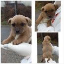 강문리마을회관 이미지