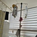 경산 중앙비소-29 | 중앙 대학교 병원 서울 흑석 쌍둥이 제왕 남지나교수님 출산 후기 2(출산당일) 생명은 신비롭다