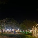 기억을 걷다 1 이미지