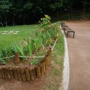 구름산산림욕장 이미지