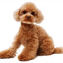 아이퍼스트치과병원 이미지