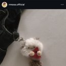 르무아 이미지
