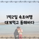 세일넷 | 9년만에 찾은 속초, 둘에서 셋, 아니 넷이서 . 바다를 좋아하는 이쁜네살 속초대게