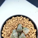 지양농장 이미지