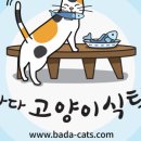 바다고양이식탁