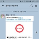 연수대대클럽