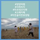 양양 여행: 서피비치/하조대코치맨/미천골자연휴양림