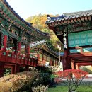 신흥사