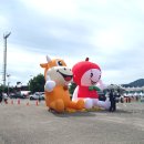 전북특별자치도 장수군 장수읍 게시대 | 전북 2025년 제 19회 장수 한우랑 사과랑 축제 후기