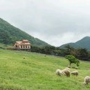 화순목장 이미지