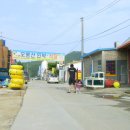 오봉산식당 티스토리