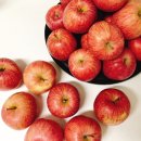 송학농원 이미지