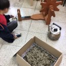 곤충동물 생태 체험교실 이미지