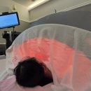 수원-0442 이미지