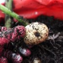 경희팔팔한의원 이미지