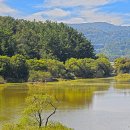 우포늪관광안내소 이미지