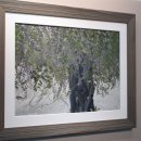 동산1길 이미지