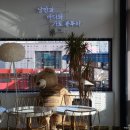 블루아라(I) 이미지