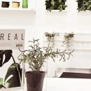 수원-1285 이미지