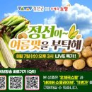 정선우체국 이미지