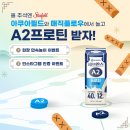 A2 이미지