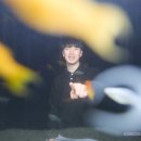코코사진관 - 원주시 천매봉길 17 | 코코사진관