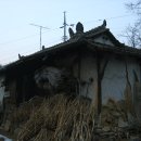 서미2리경로당 Daum카페