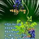 대창1.7리경로당