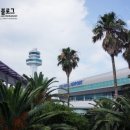 제주스쿠터타잰바이크 이미지