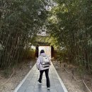 마을안관광코스 4코스 | 전주 한옥마을 투어패스 한옥마을권 후기ㅣ성인 2명도 만족한 5,900원 알찬 코스