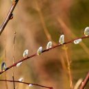 해뜨는한의원 이미지