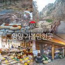 산아래나물천지
